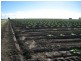 Ayr QLD 4807