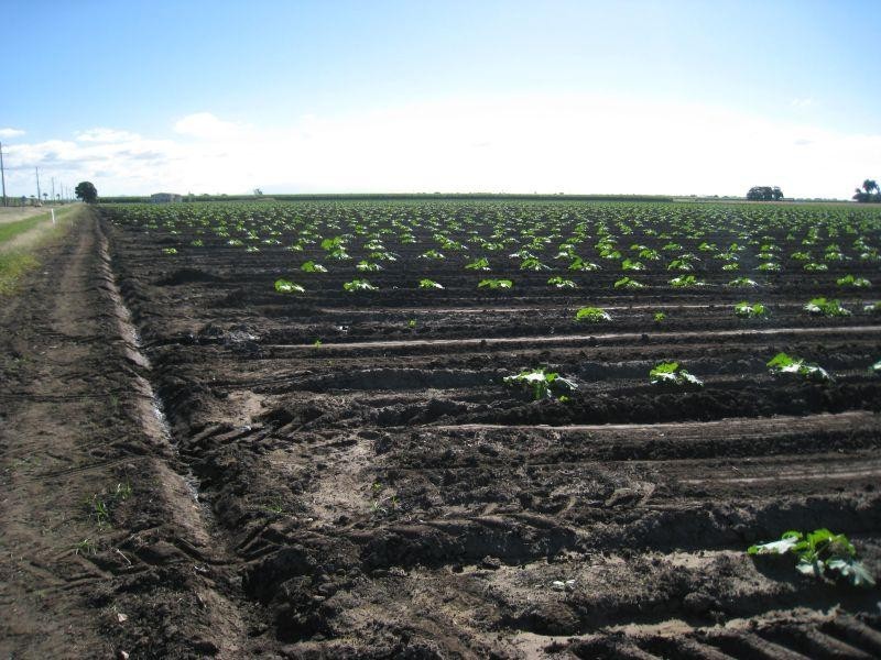 Ayr QLD 4807
