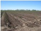 Ayr QLD 4807