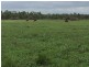 122 Webb Road, Majors Creek QLD 4816