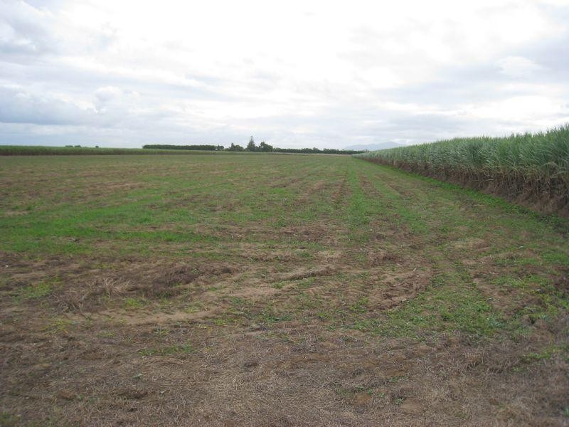 Lot 1 Mountainview Road, Airville QLD 4807