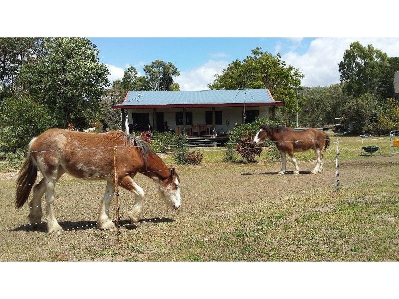 1232 Woodstock Giru  Road, Mount Surround QLD 4809