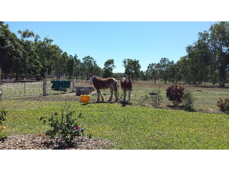 1232 Woodstock Giru  Road, Mount Surround QLD 4809