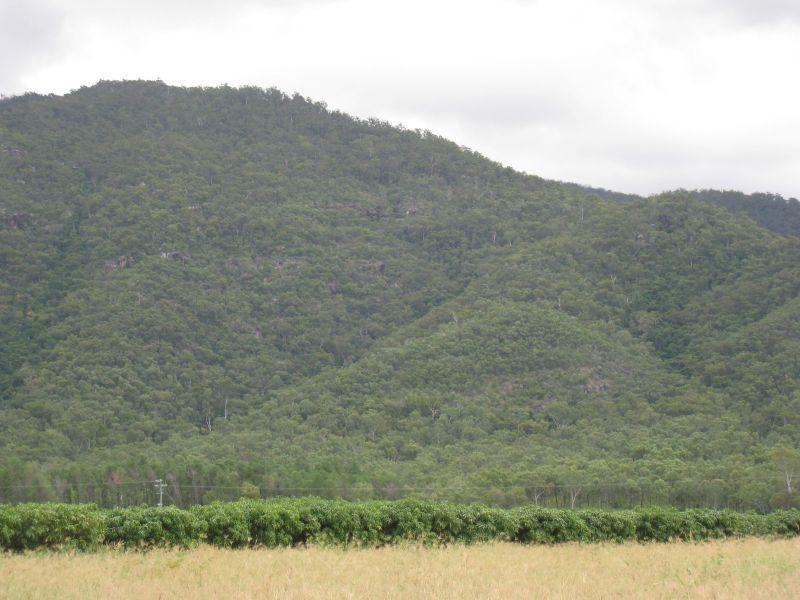 1232 Woodstock Giru  Road, Mount Surround QLD 4809