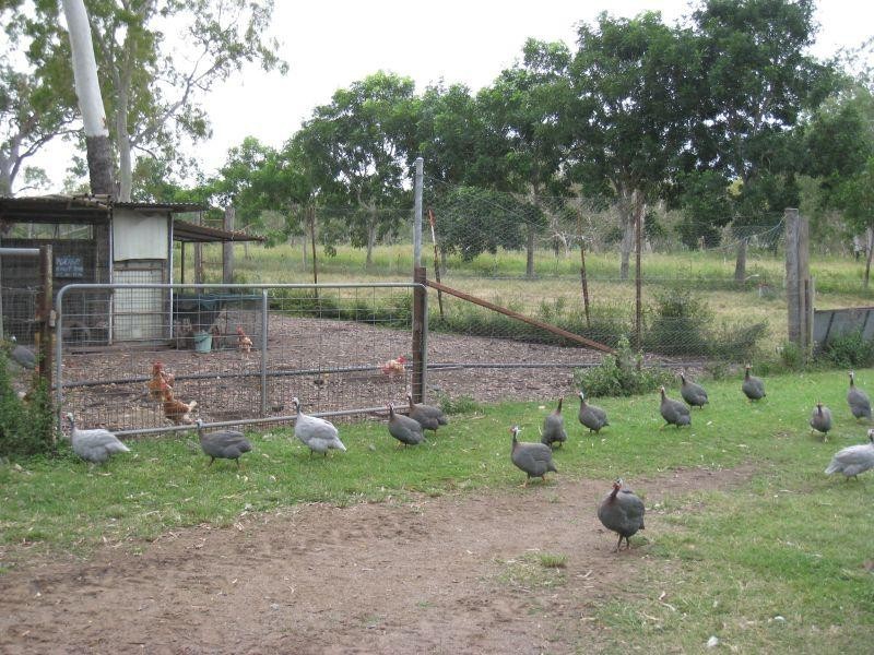 1232 Woodstock Giru  Road, Mount Surround QLD 4809