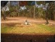 5229 Flinders Highway, Reid River QLD 4816
