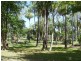 1012 Woodstock Giru  Road, Mount Surround QLD 4809