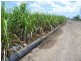 Colevale QLD 4808