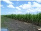 Colevale QLD 4808