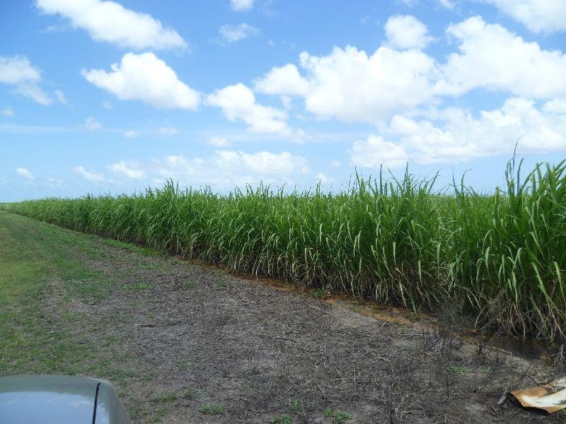 Colevale QLD 4808