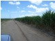 Colevale QLD 4808