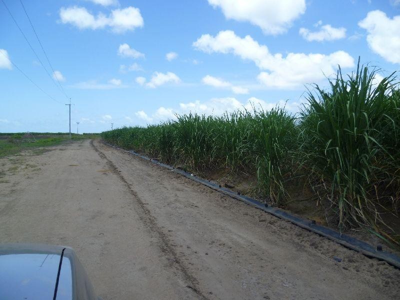Colevale QLD 4808