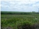 Colevale QLD 4808