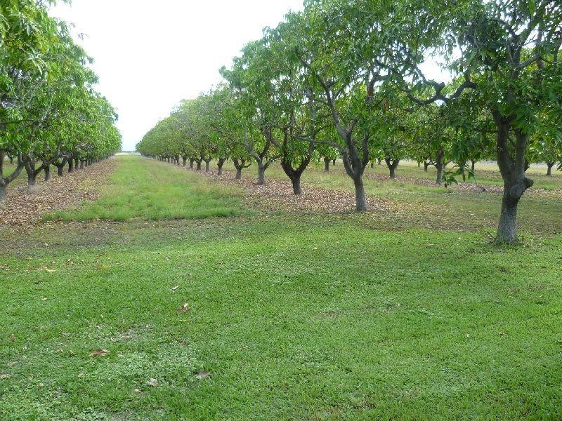 31 Kensington Avenue, Horseshoe Lagoon QLD 4809