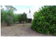 Bowen QLD 4805