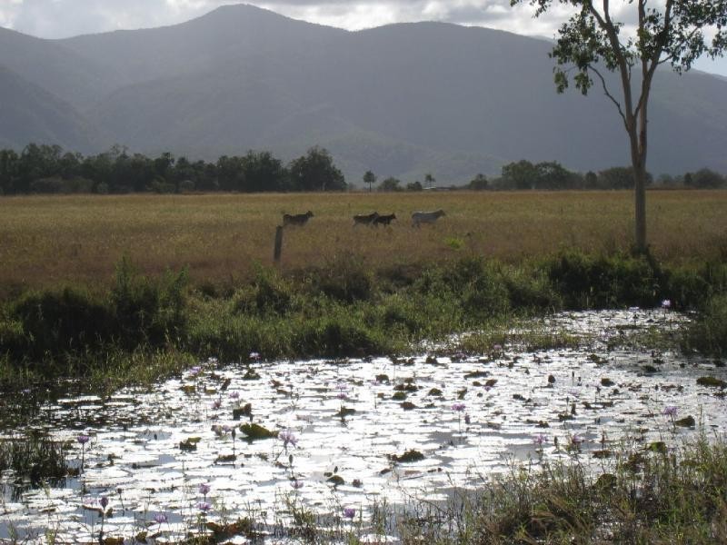 Shirbourne QLD 4809