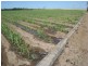 Shirbourne QLD 4809