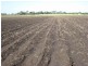 Shirbourne QLD 4809