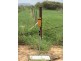 Majors Creek QLD 4816