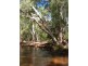 Majors Creek QLD 4816