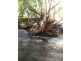 Majors Creek QLD 4816