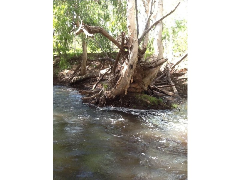 Majors Creek QLD 4816