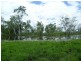 Majors Creek QLD 4816
