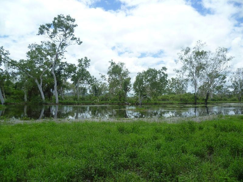 Majors Creek QLD 4816