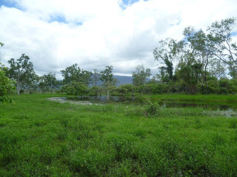 Majors Creek QLD 4816