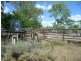 Majors Creek QLD 4816