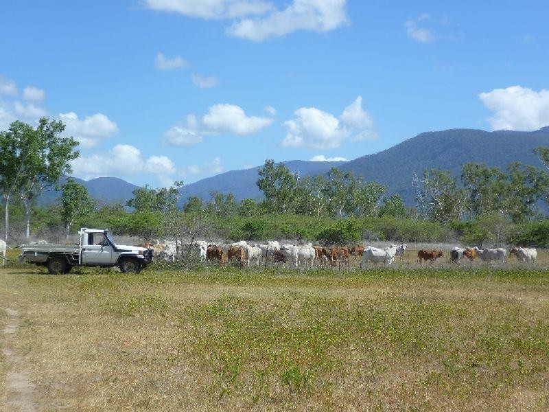 Majors Creek QLD 4816