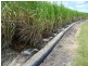 Colevale QLD 4808