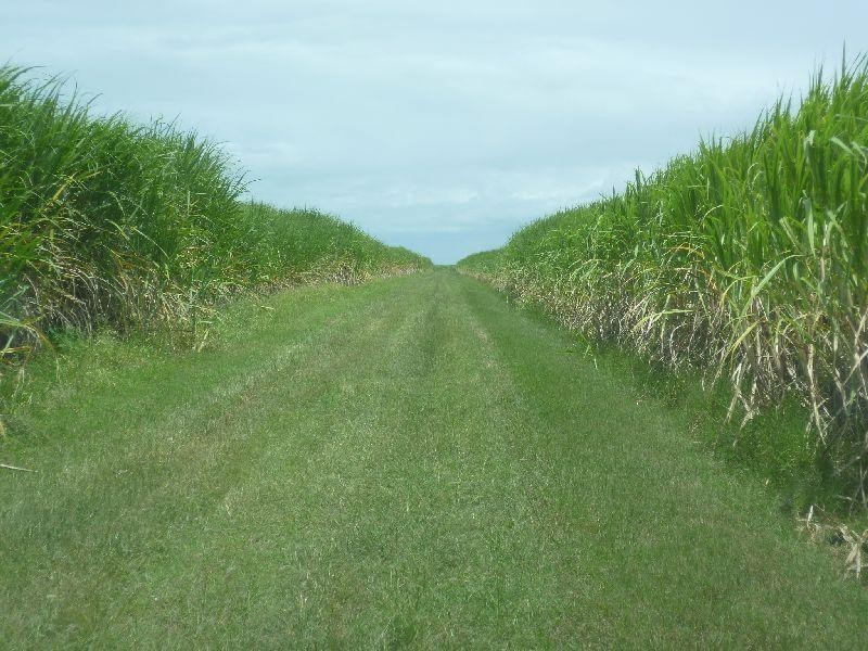 Colevale QLD 4808