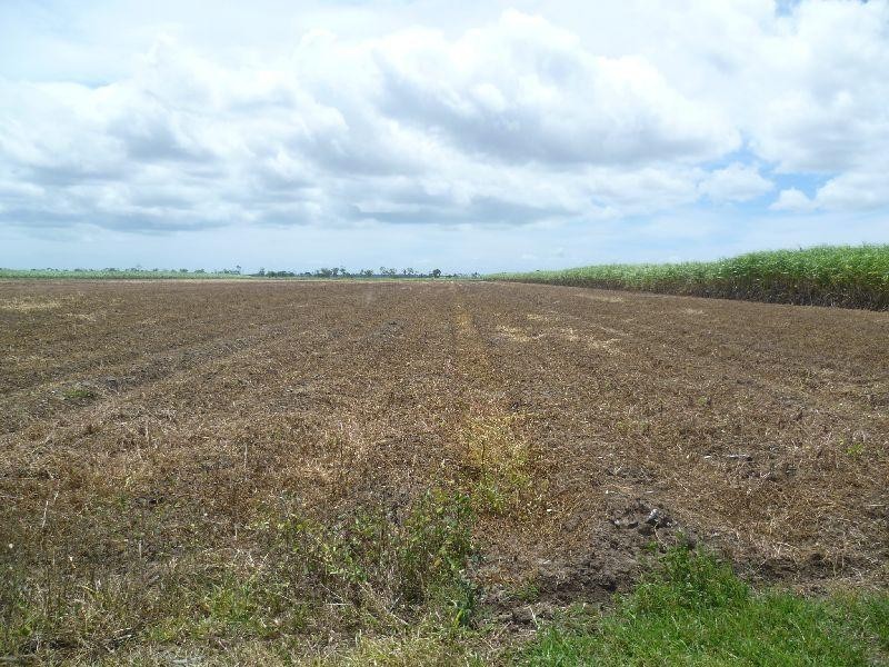 Colevale QLD 4808