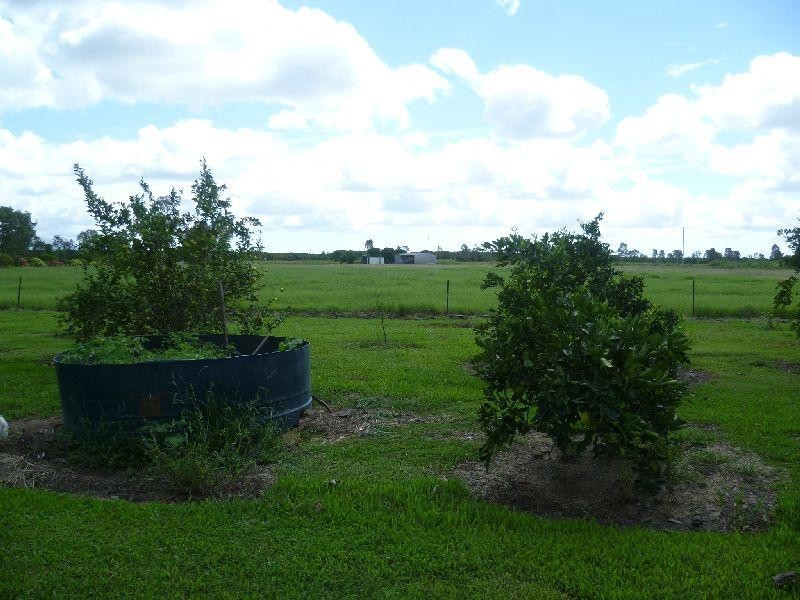 Barratta QLD 4809