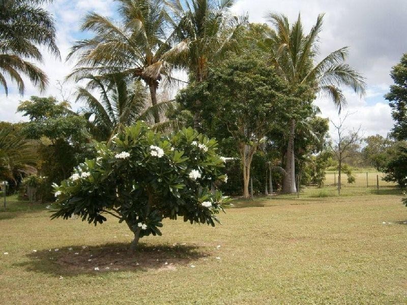 2473 Woodstock Giru Road, Majors Creek QLD 4816