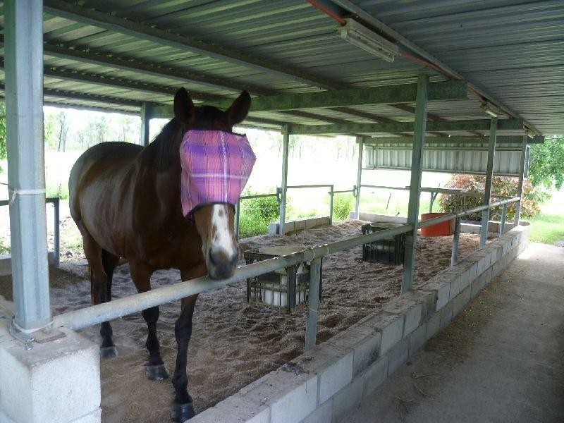 2473 Woodstock Giru Road, Majors Creek QLD 4816