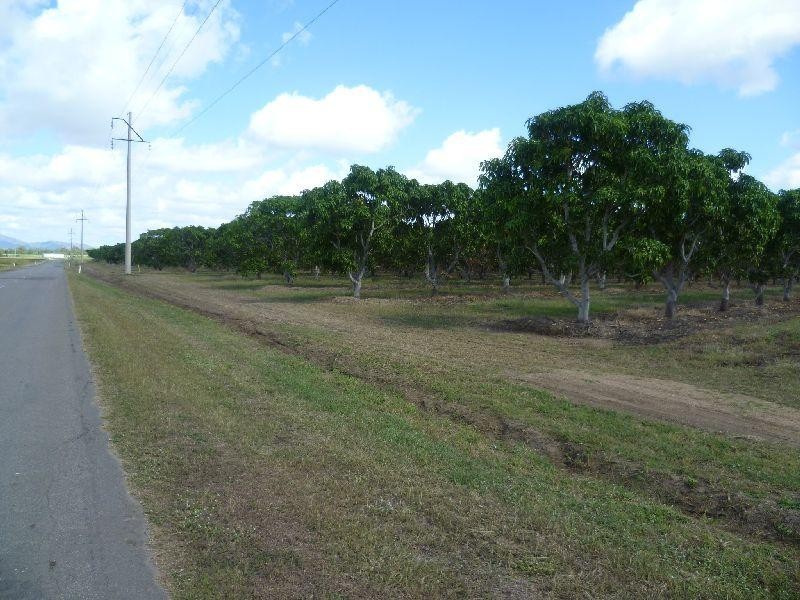 2560 Kirknie  Road, Kirknie QLD 4806