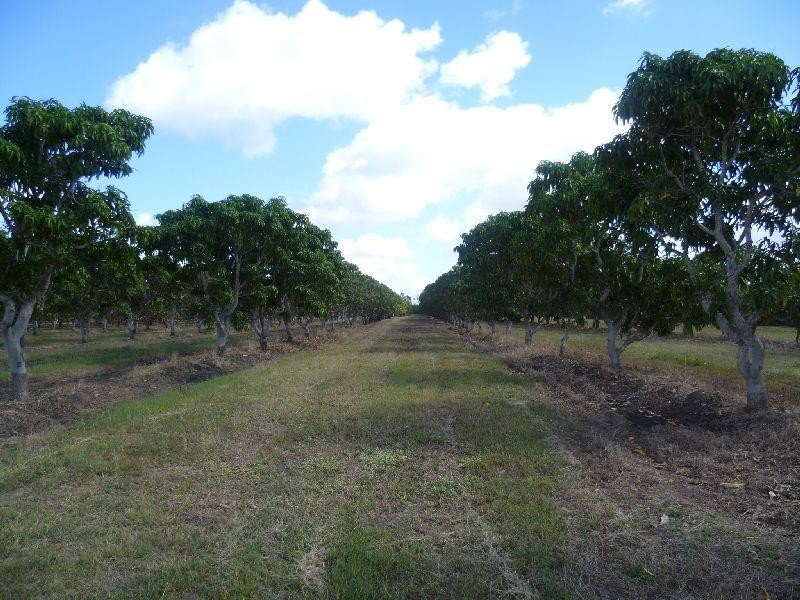 2560 Kirknie  Road, Kirknie QLD 4806