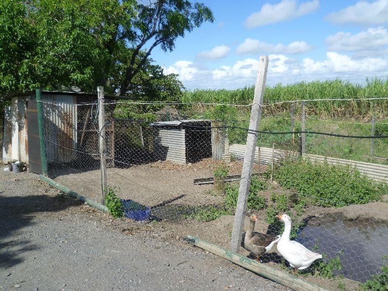 Jarvisfield QLD 4807