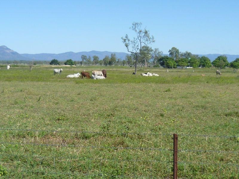 760 Mountview Drive, Barringha QLD 4816