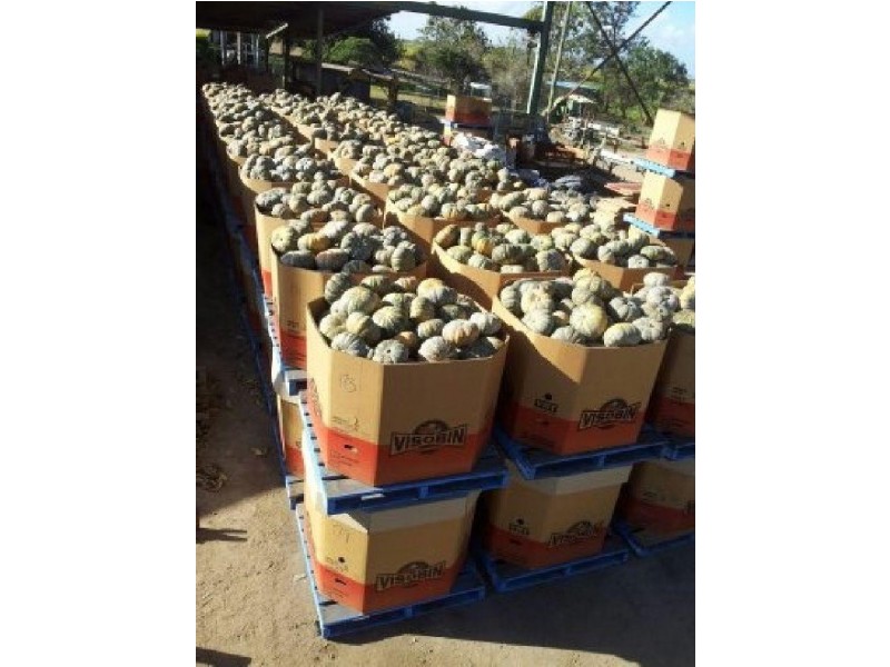 106 Mountainview  Road, Airville QLD 4807