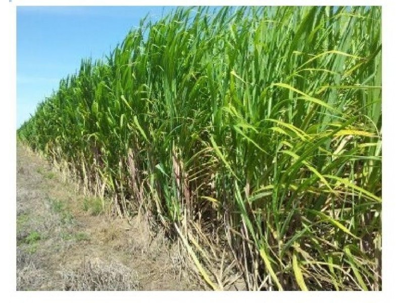 106 Mountainview  Road, Airville QLD 4807