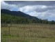 Mount Surround QLD 4809