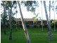 Home Hill QLD 4806