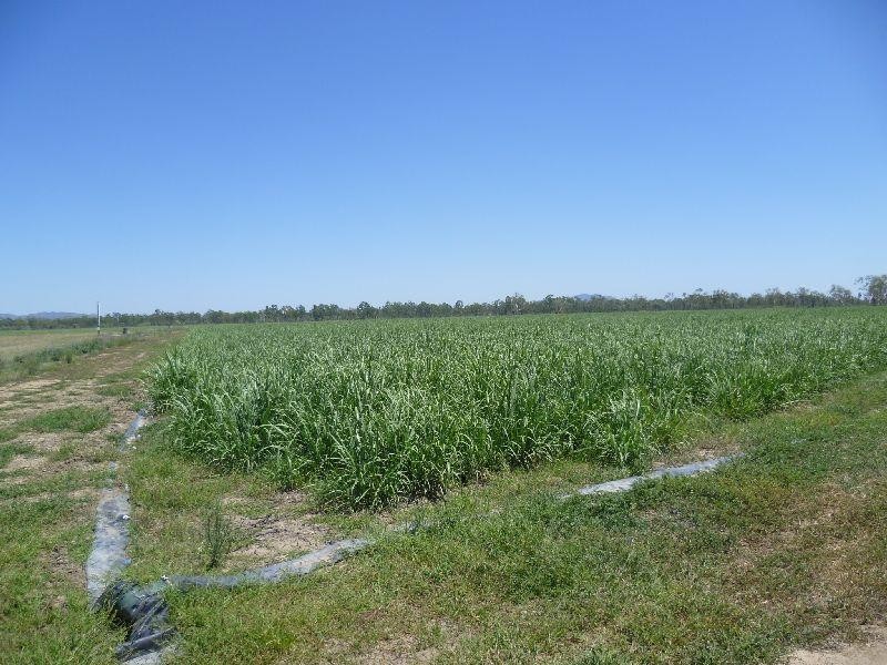 2 Britt Road, Millaroo QLD 4807