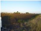 Ayr QLD 4807