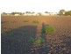 Ayr QLD 4807