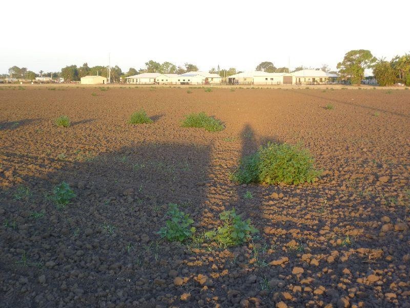 Ayr QLD 4807