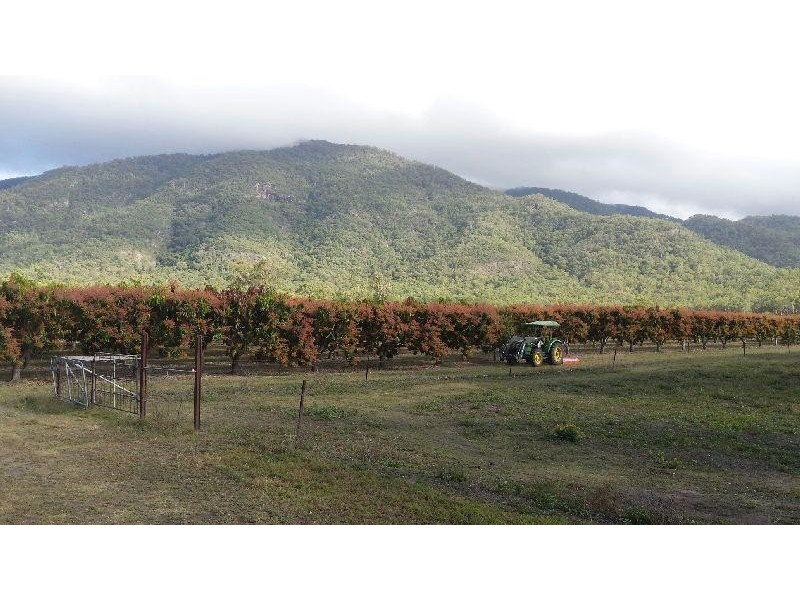 Mount Surround QLD 4809